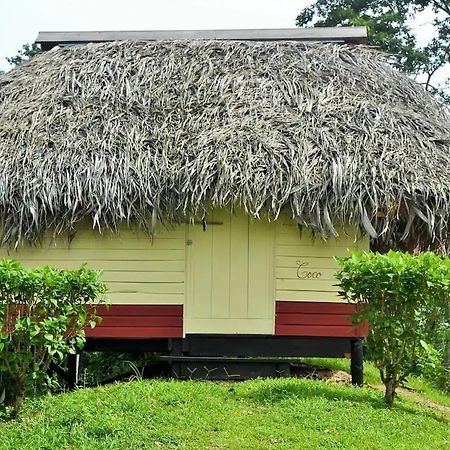 Nathylodge Bocas del Toro Exterior foto
