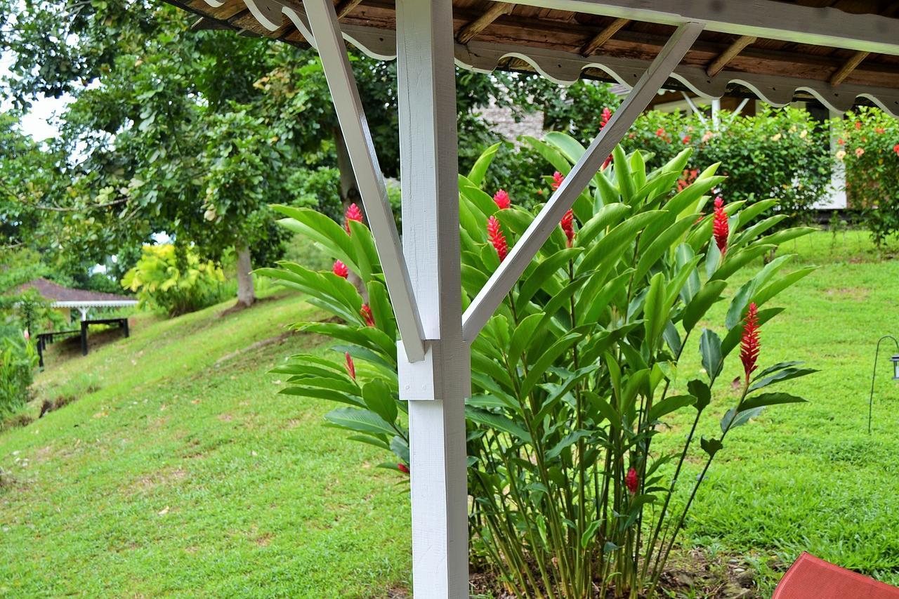 Nathylodge Bocas del Toro Exterior foto